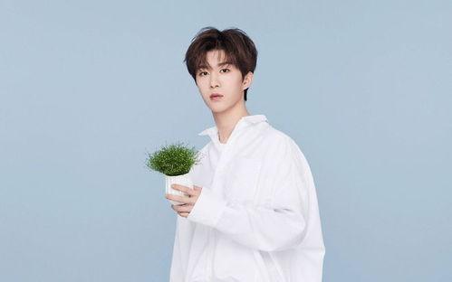 白鹿范丞丞爆料视频,娱乐圈幕后真相曝光