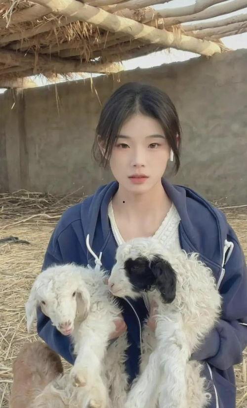 张铭发爆料灰太狼的视频,视频爆料背后的惊人内幕 第3张 张铭发爆料灰太狼的视频,视频爆料背后的惊人内幕 第3张